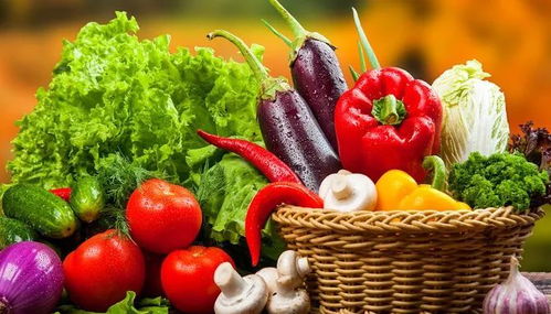 垃圾分類新潮流 苗木廢棄物如何處理？生活垃圾分類實用小妙招