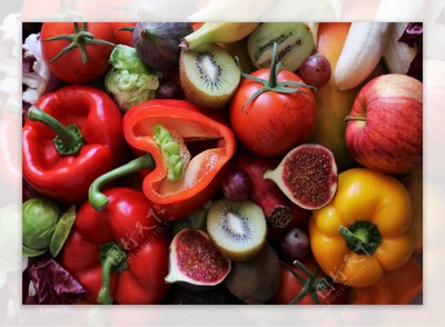 生機盎然 從水果蔬菜圖片到苗木培育的藝術(shù)